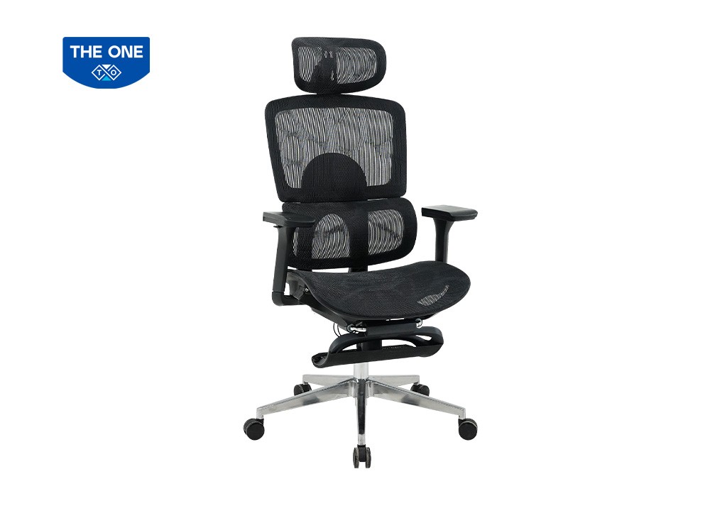 GHẾ CÔNG THÁI HỌC