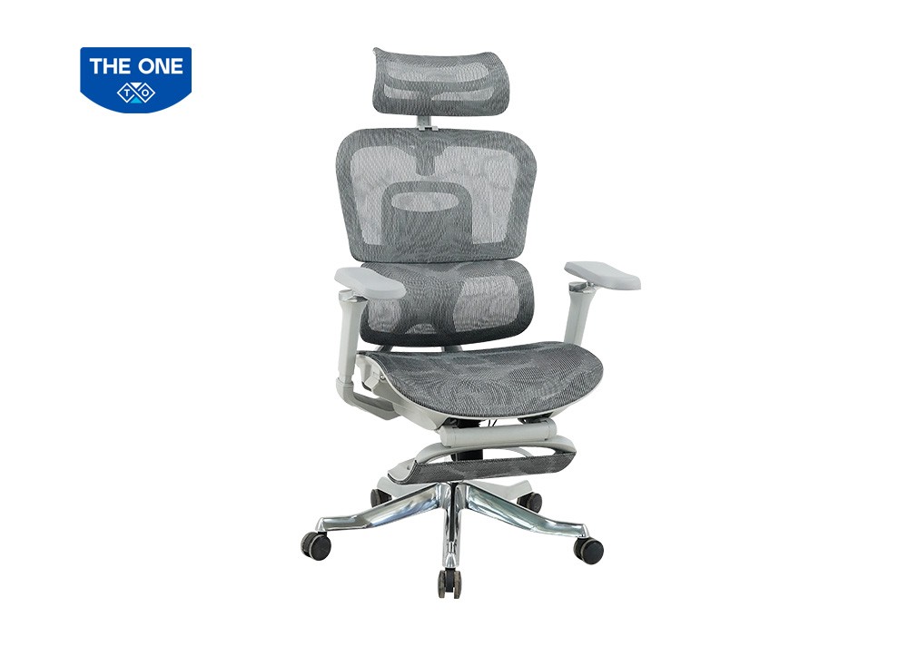 GHẾ CÔNG THÁI HỌC