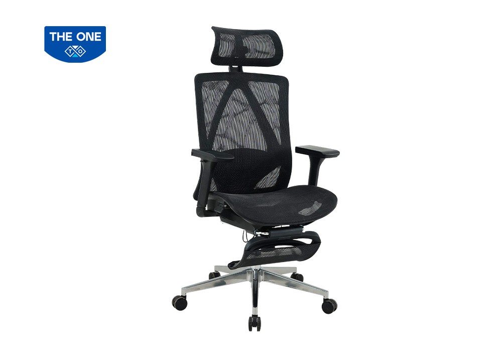 GHẾ CÔNG THÁI HỌC