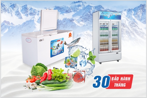 Tủ đông to và Tủ mát trưng bày – Sản phẩm nổi bật của Điện Lạnh Hòa Phát