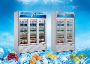 Tủ mát Hòa Phát – Tủ mát hàng đầu Việt Nam