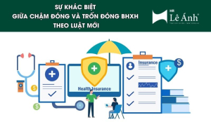 cham-dong-tron-dong-bhxh