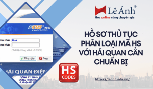 ho-so-thu-tuc-phan-loai-ma-hs-voi-hai-quan