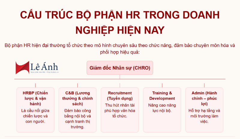 Cấu trúc bộ phận HR trong doanh nghiệp hiện nay