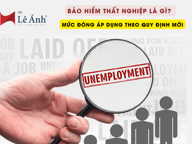 Bảo Hiểm Thất Nghiệp Là Gì? Mức Đóng Áp Dụng Theo Quy Định Mới