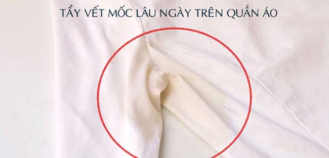 cách tẩy mốc áo trắng cách tẩy mốc áo trắng