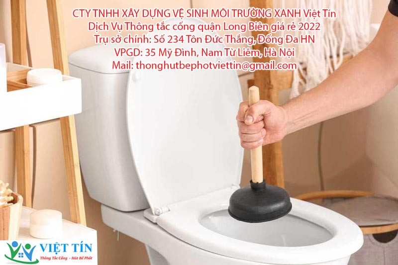 Cây thông bồn cầu, ống thông bồn cầu Cây thông bồn cầu, ống thông bồn cầu