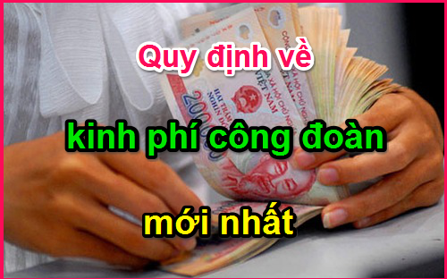Tổng hợp quy định về kinh phí công đoàn mới nhất