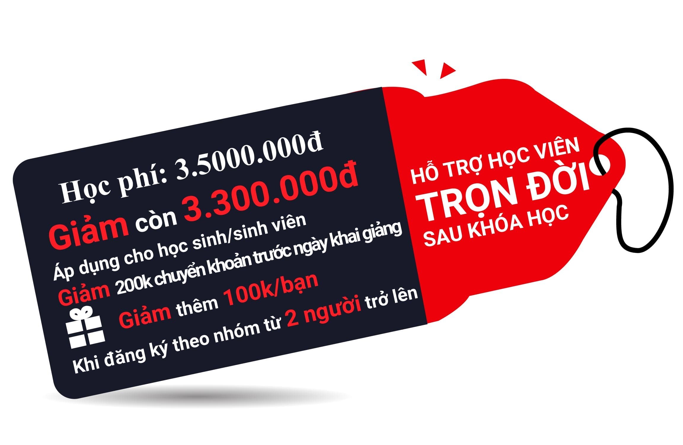học phí kế toán lê ánh