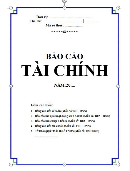 Mẫu báo cáo tài chính
