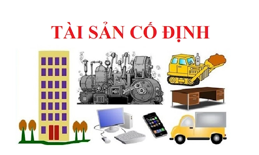ta-san-co-dinh