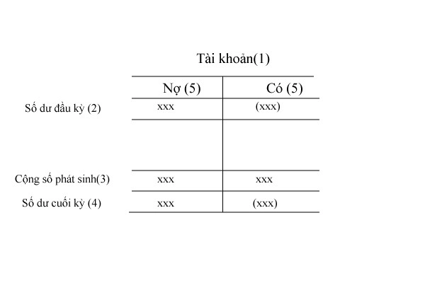 tai-khoan-chu-t