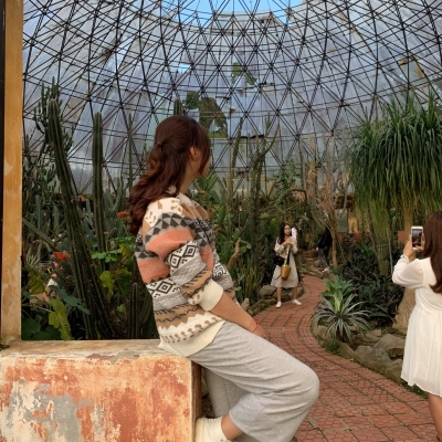 anh-phan-hoi-ban-tien