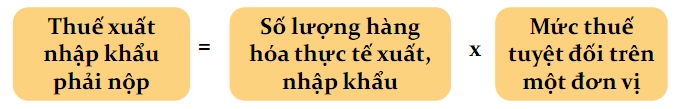 Mặt hàng áp dụng thuế suất tuyệt đối