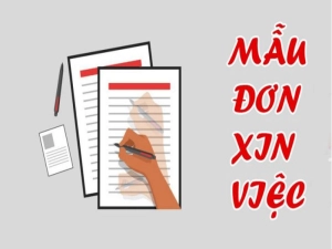 mau-don-xin-viec