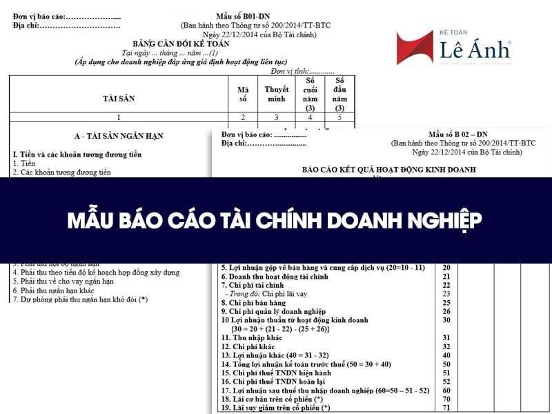 mau-bao-cao-tai-chinh-1