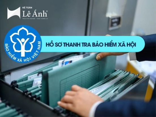 ho-so-thanh-tra-bao-hiem-xa-hoi
