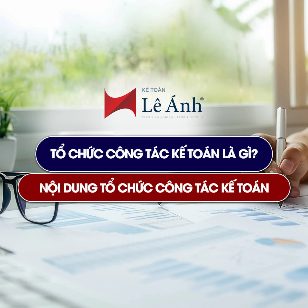 to-chuc-cong-tac-ke-toan