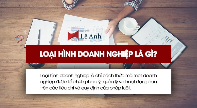 loại hình doanh nghiệp là gì