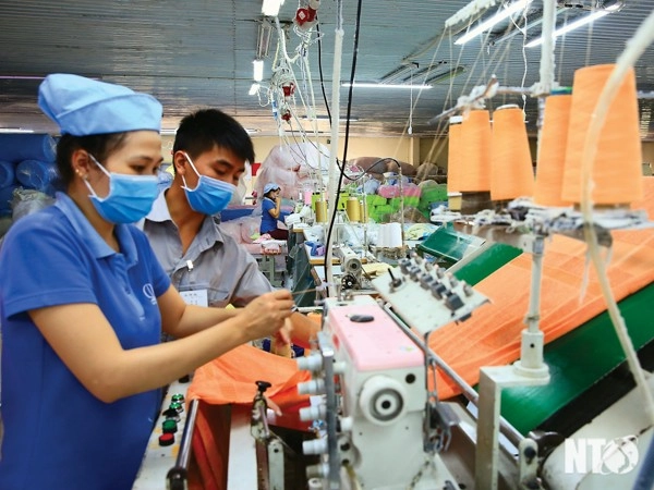 Phương pháp tổ chức thực hiện cuộc thanh tra