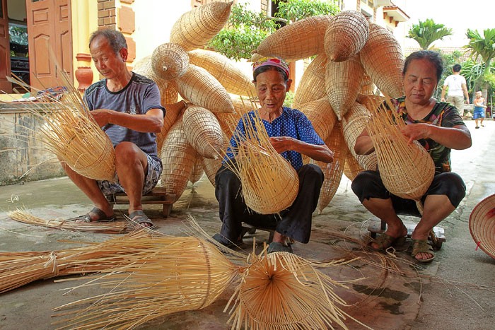Đào tạo tại nông thôn