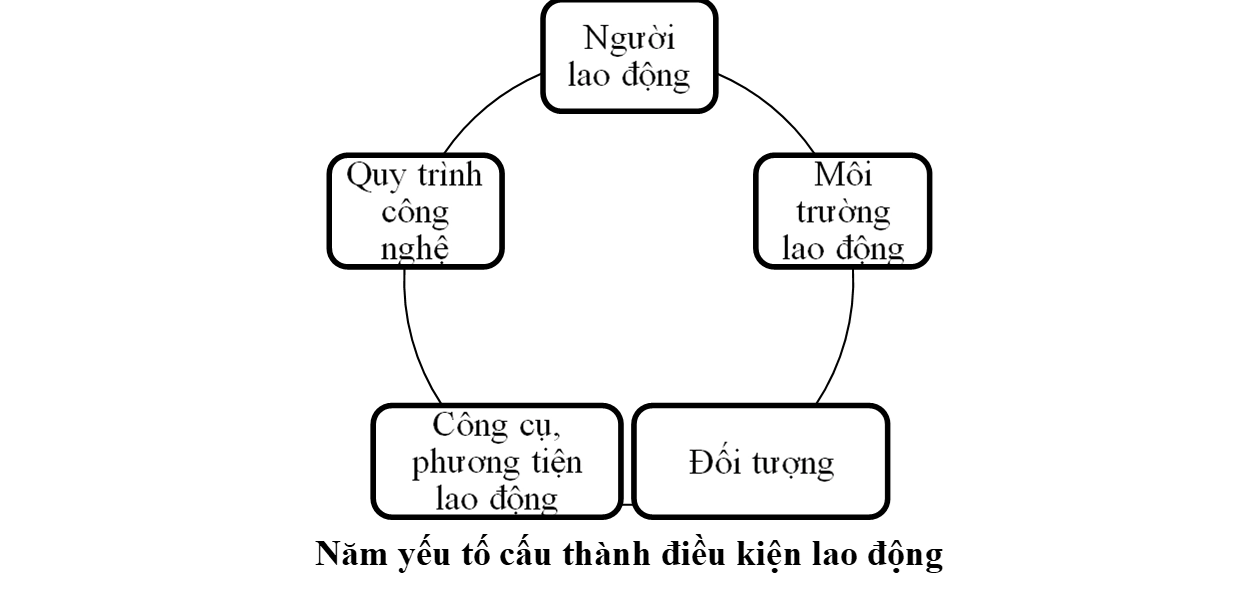 Năm yếu tố cấu thành điều kiện lao động