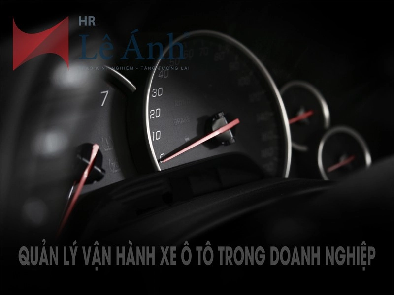 Quản lý và sử dụng xe ô tô trong doanh nghiệp
