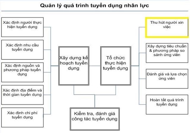 Thu hút người xin việc