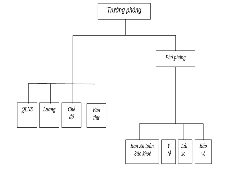 Cơ cấu tổ chức phòng tổ chức hành chính