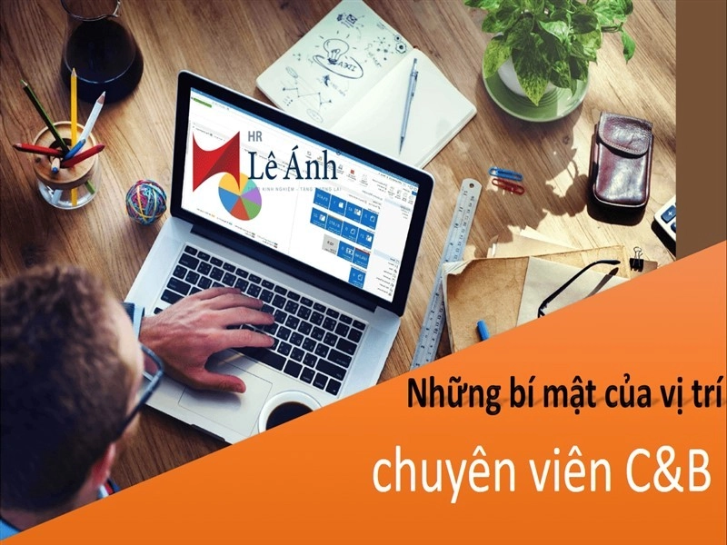 Những bí mật của vị trí chuyên viên C&B