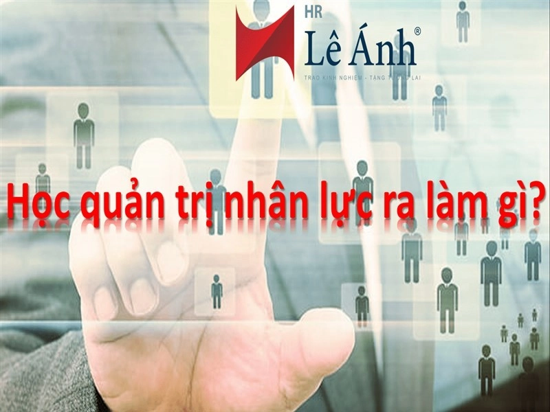 Học quản trị nhân lực ra làm gì