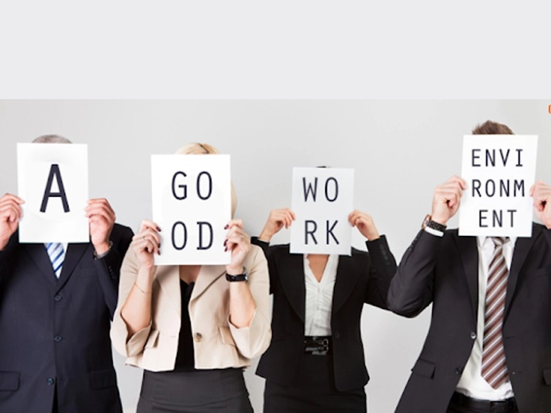 Hiệu quả của môi trường làm việc lý tưởng