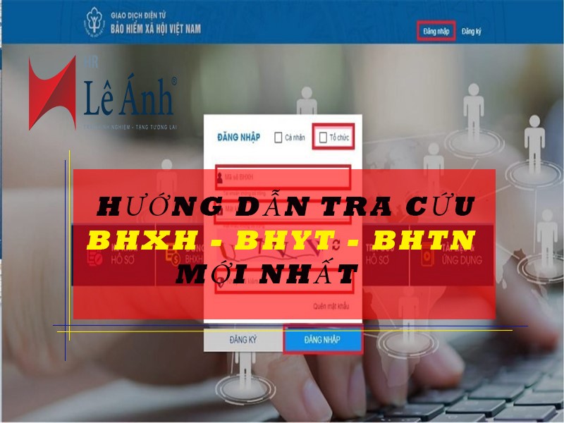 Hướng dẫn tra cứu BHXH-BHYT-BHTN