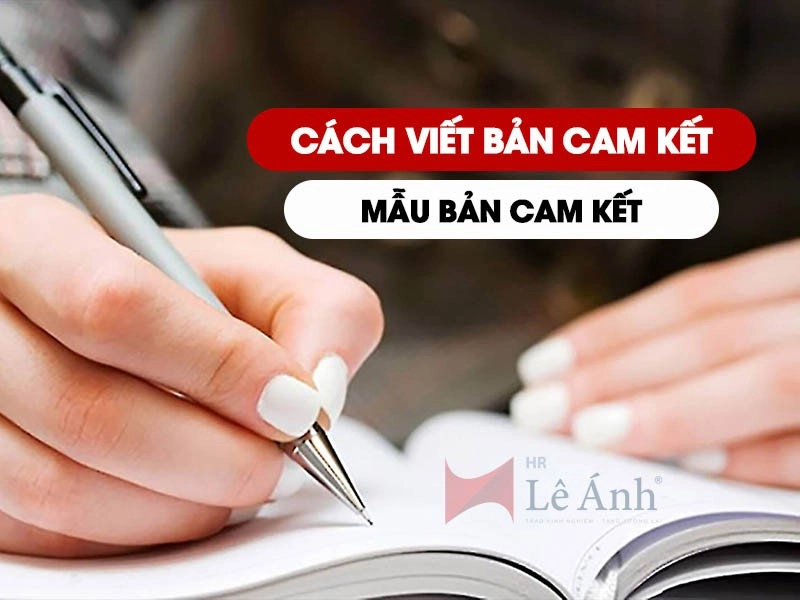 Cách viết bản cam kết