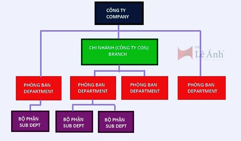 Nguyên tắc xây dựng mô tả công việc