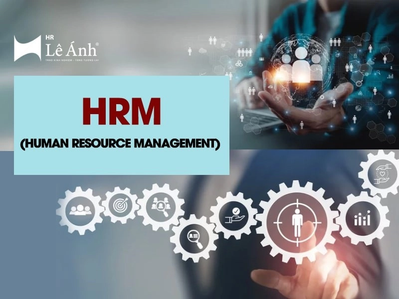 Human Resource Management - HRM là gì?