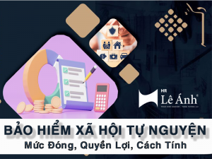 Bảo Hiểm Xã Hội Tự Nguyện - Mức Đóng, Quyền Lợi, Cách Tính