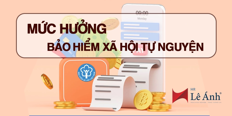 Mức hưởng bảo hiểm xã hội tự nguyện