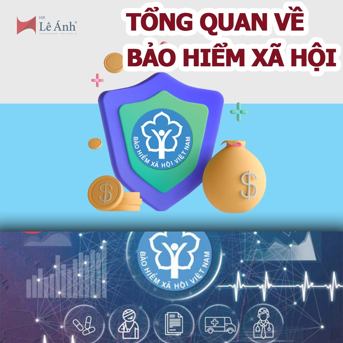 Tổng quan về bảo hiểm xã hội
