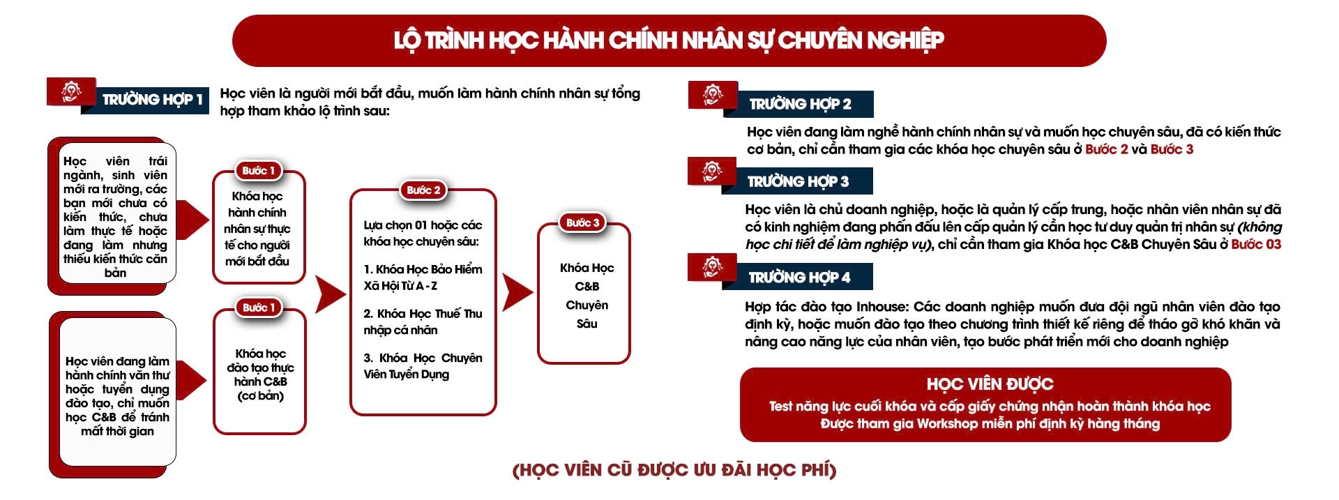 Lộ trình học bài bản, phân cấp rõ ràng