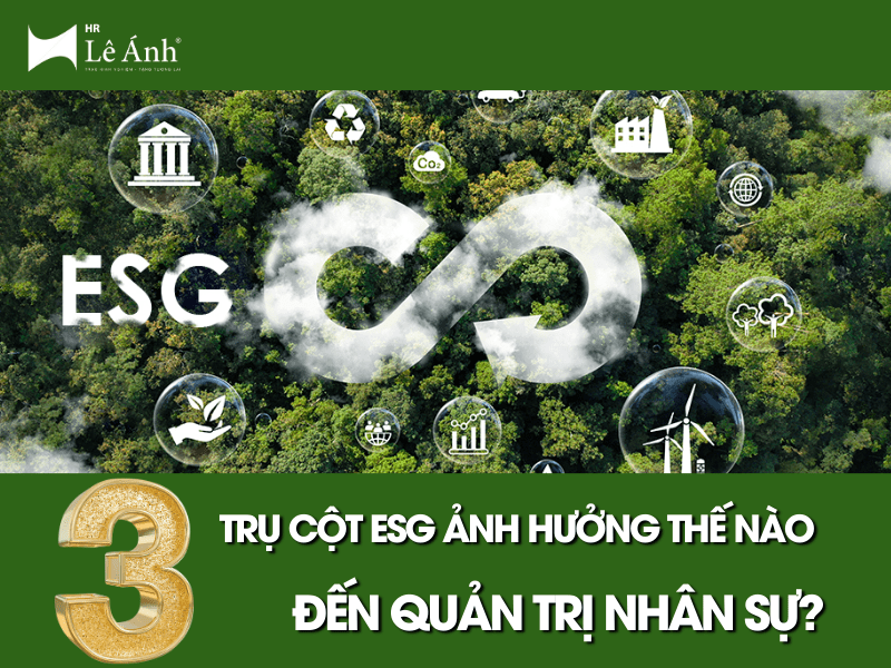 Hình ảnh đại điện