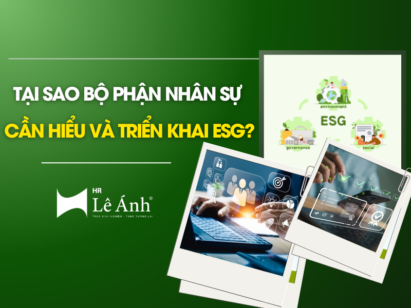 Hình ảnh đại điện