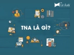 TNA Là Gì? Cách Xác Định Nhu Cầu Đào Tạo Hiệu Quả