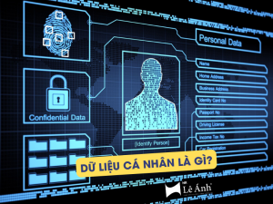Dữ Liệu Cá Nhân Là Gì? Doanh Nghiệp Được Thu Thập Những Gì?