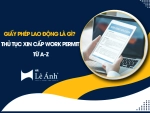 Giấy Phép Lao Động Là Gì? Thủ Tục Xin Cấp Work Permit Từ A–Z