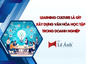 Learning Culture Là Gì Xây Dựng Văn Hóa Học Tập Trong Doanh Nghiệp