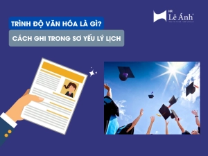 Trình Độ Văn Hóa Là Gì Và Cách Ghi Trong Sơ Yếu Lý Lịch