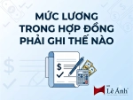 Mức lương teong hợp đồng phải ghi thế nào