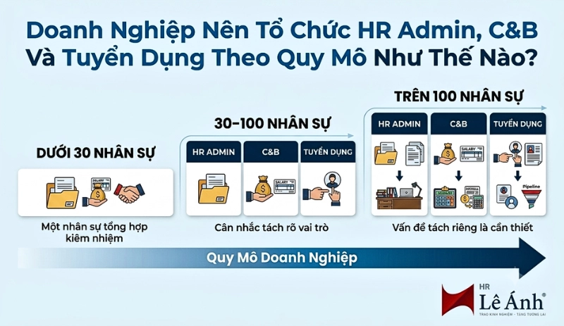 Doanh nghiệp nên tổ chức HR Admin, C&B và Tuyển dụng theo quy mô như thế nào
