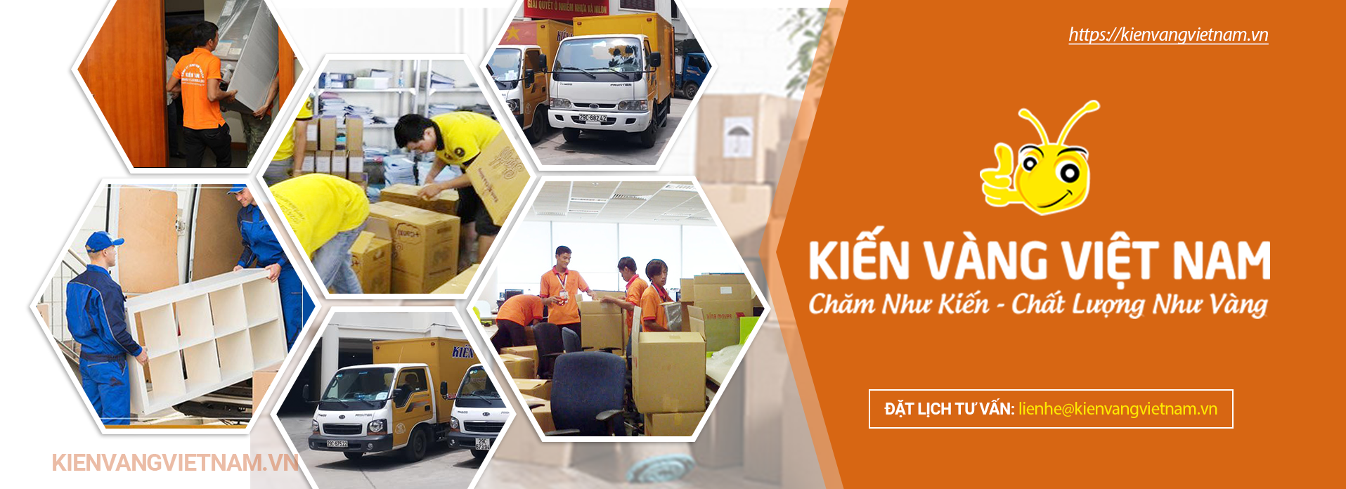 Những công dụng bất ngờ của bia đối với ngôi nhà của bạn